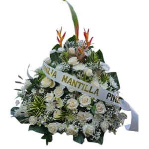 Funerarias en Barranquilla
